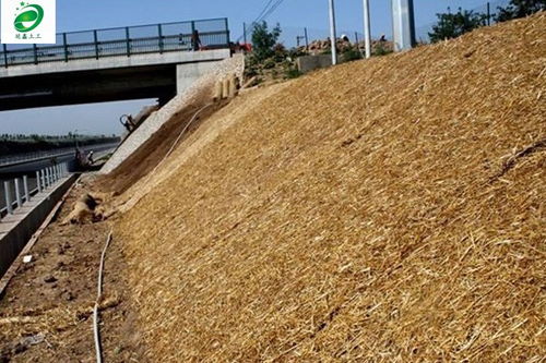 白銀市延鑫直銷 生態毯護坡發貨快，廠家直銷助力綠色建設